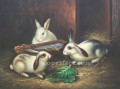 am025D 動物 ウサギ